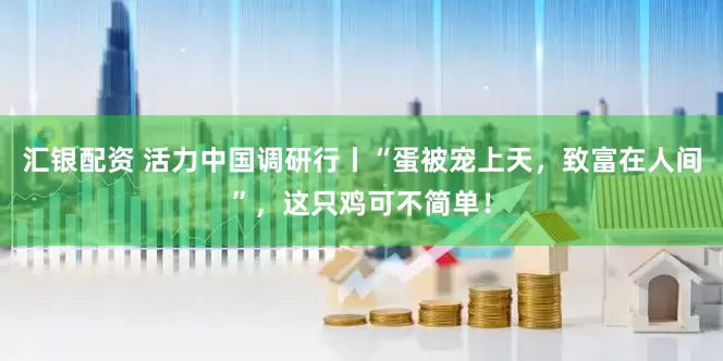 汇银配资 活力中国调研行丨“蛋被宠上天，致富在人间”，这只鸡可不简单！