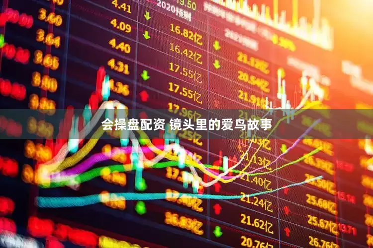 会操盘配资 镜头里的爱鸟故事