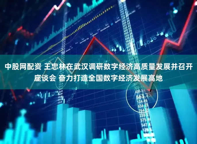 中股网配资 王忠林在武汉调研数字经济高质量发展并召开座谈会 奋力打造全国数字经济发展高地