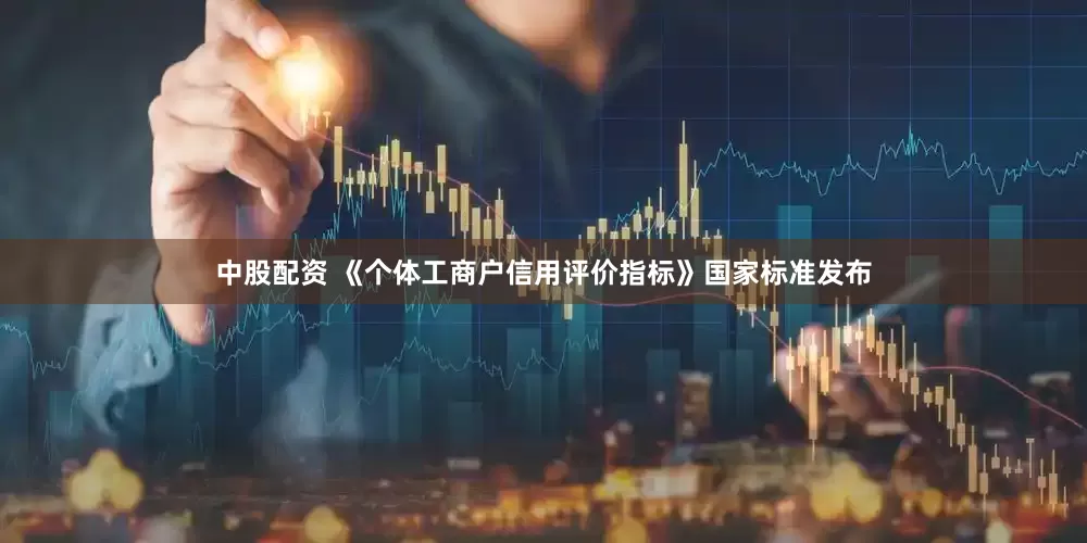 中股配资 《个体工商户信用评价指标》国家标准发布