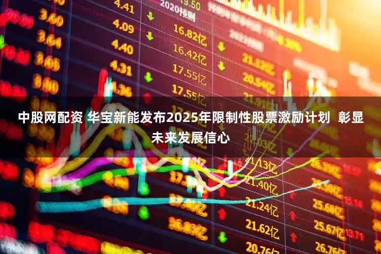 中股网配资 华宝新能发布2025年限制性股票激励计划  彰显未来发展信心