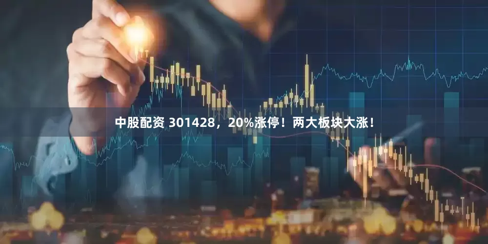 中股配资 301428，20%涨停！两大板块大涨！